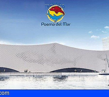 Pension Sea Of Clouds Лас-Пальмас-де-Гран-Канария Экстерьер фото