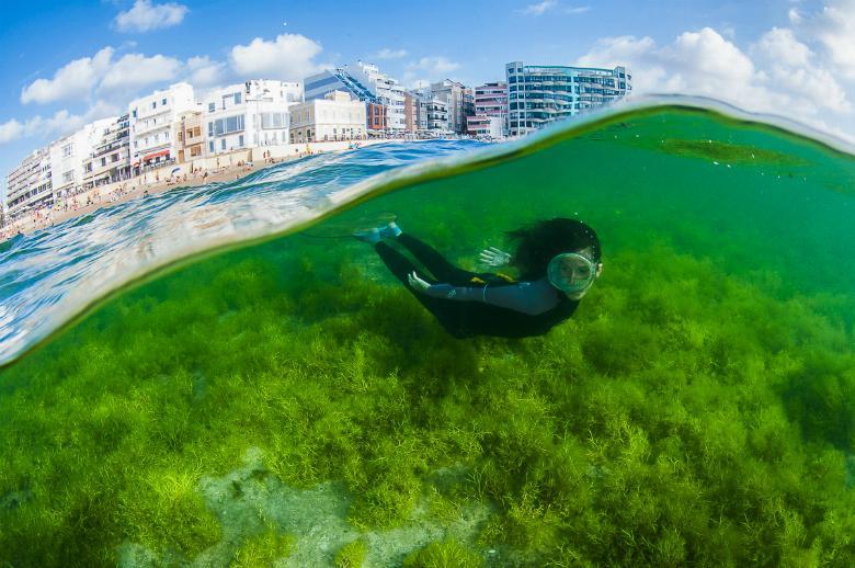 Pension Sea Of Clouds Лас-Пальмас-де-Гран-Канария Экстерьер фото
